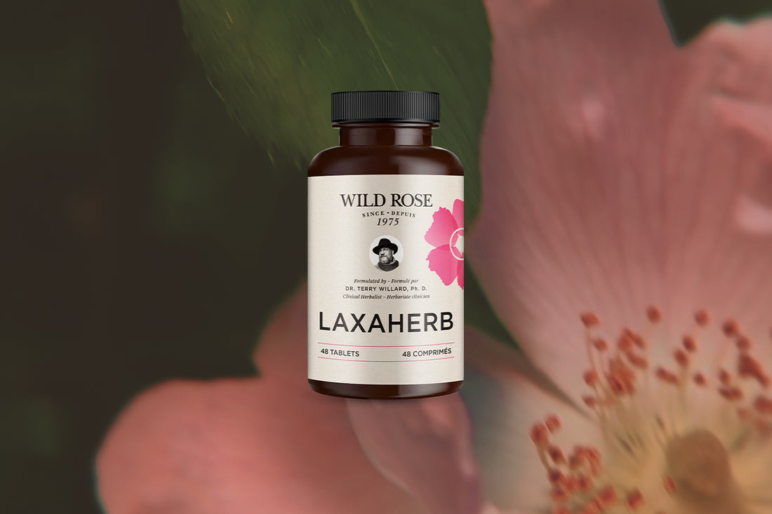 Laxaherb, one of the formulas in the Wild Rose Herbal D-Tox kit