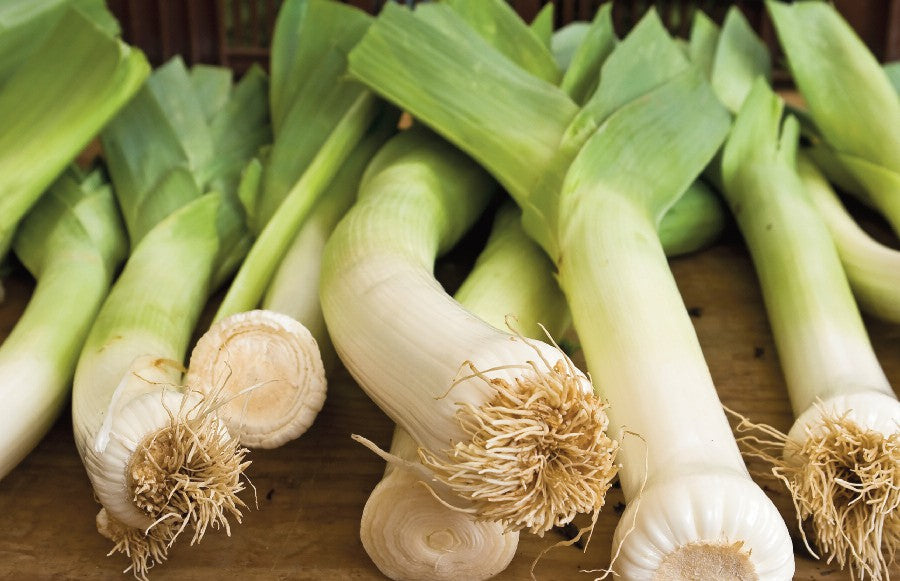 Leek casserole ingredients