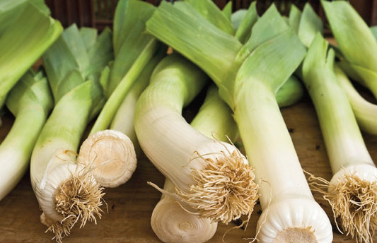 Leek casserole ingredients