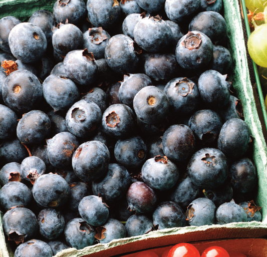 Blueberry and Almond Butter Treat