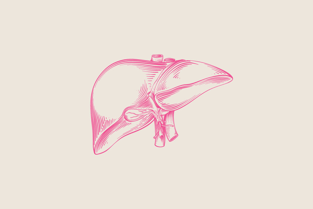 Liver support blog header