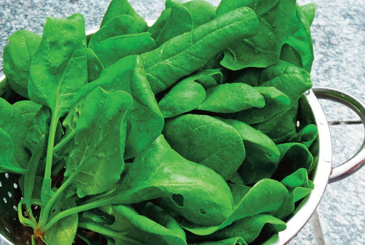 Spinach Salad ingredients