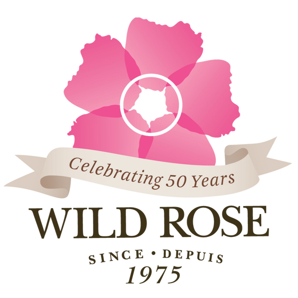 Rose sauvage Canada